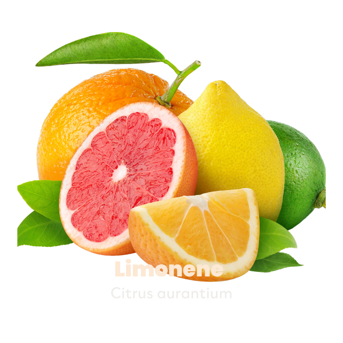 Limonene Terpene with citrus